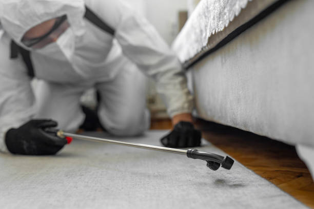 Professional Bed Bug Control technician working in Hinckley, IL
