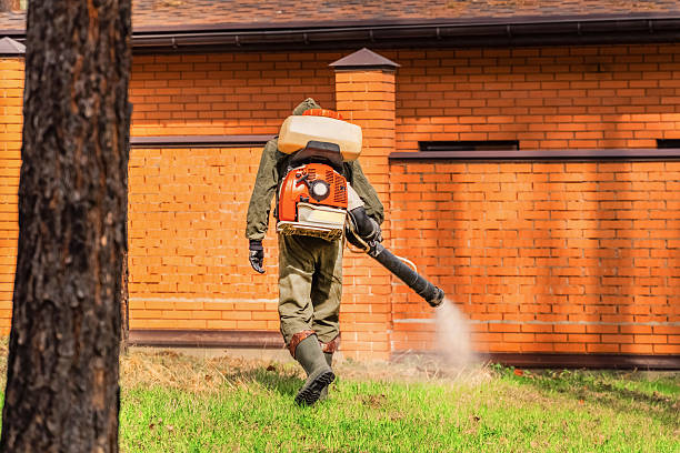 Trusted Termite Control service in Hinckley, IL - Nex Pest Control
